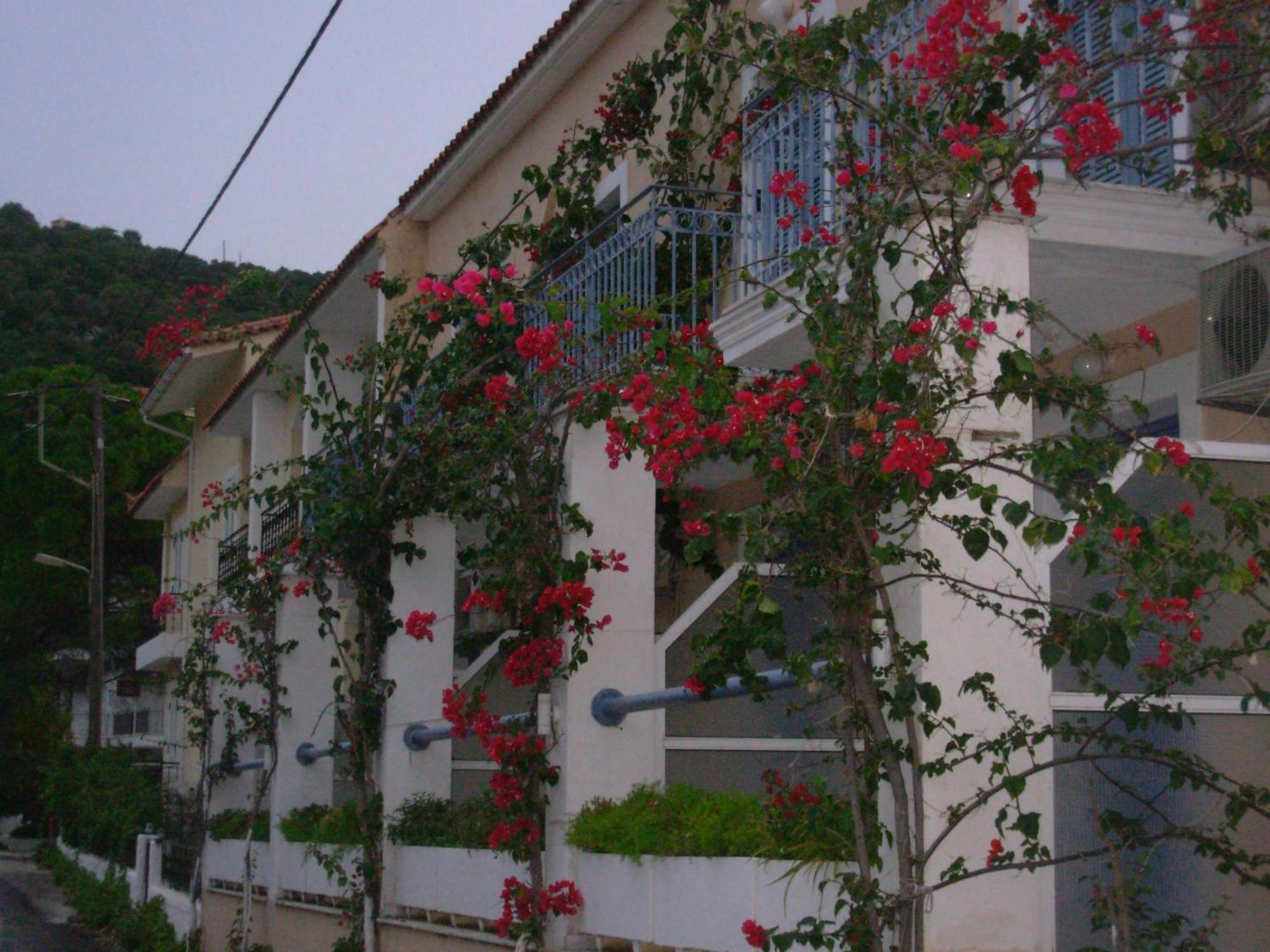 Louisa Studios Poros  Buitenkant foto