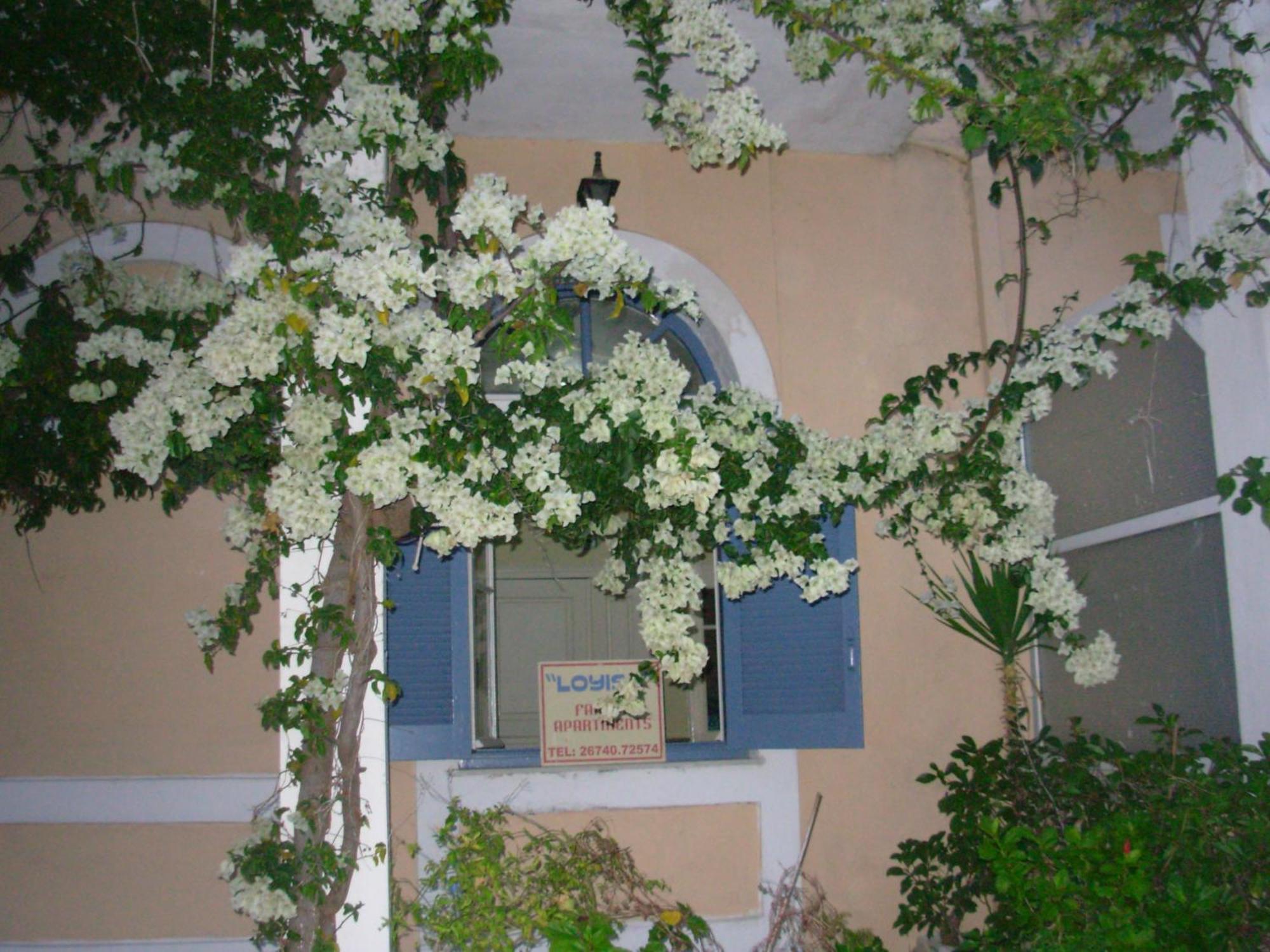 Louisa Studios Poros  Buitenkant foto